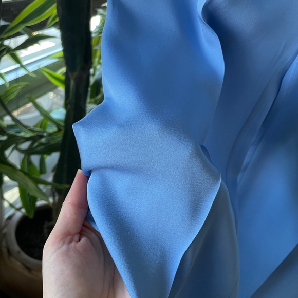 Robin Blue Silk Pants - Picture 6 of 8